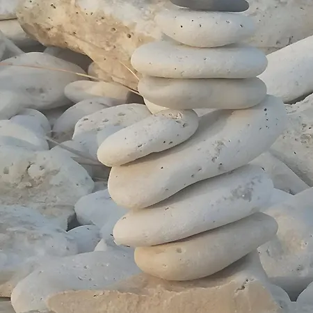 Et Mobil-home Climatise بيت للعطل Dolus d'Oléron